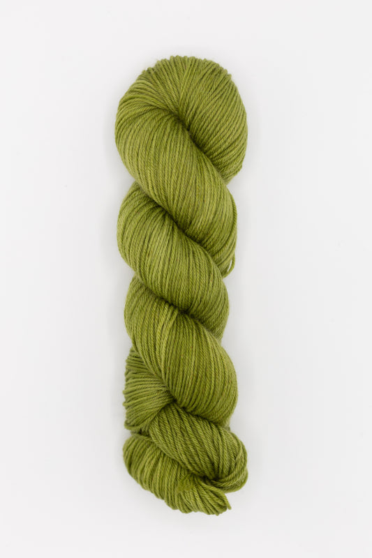 Trio DK - tiny boxwoods