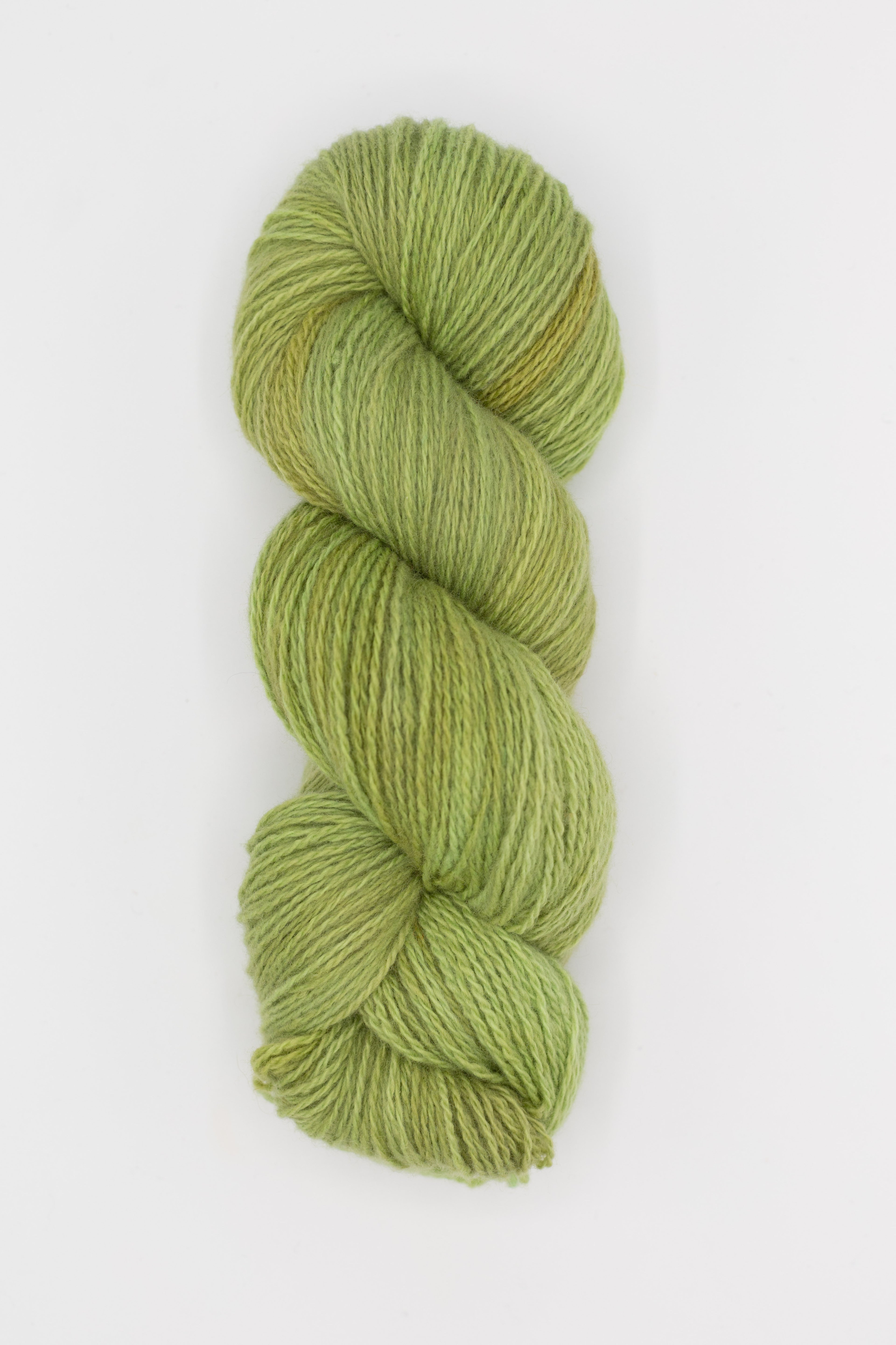 Elmer - willow