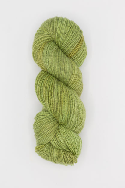 Lindsay's Dyed-to-Order