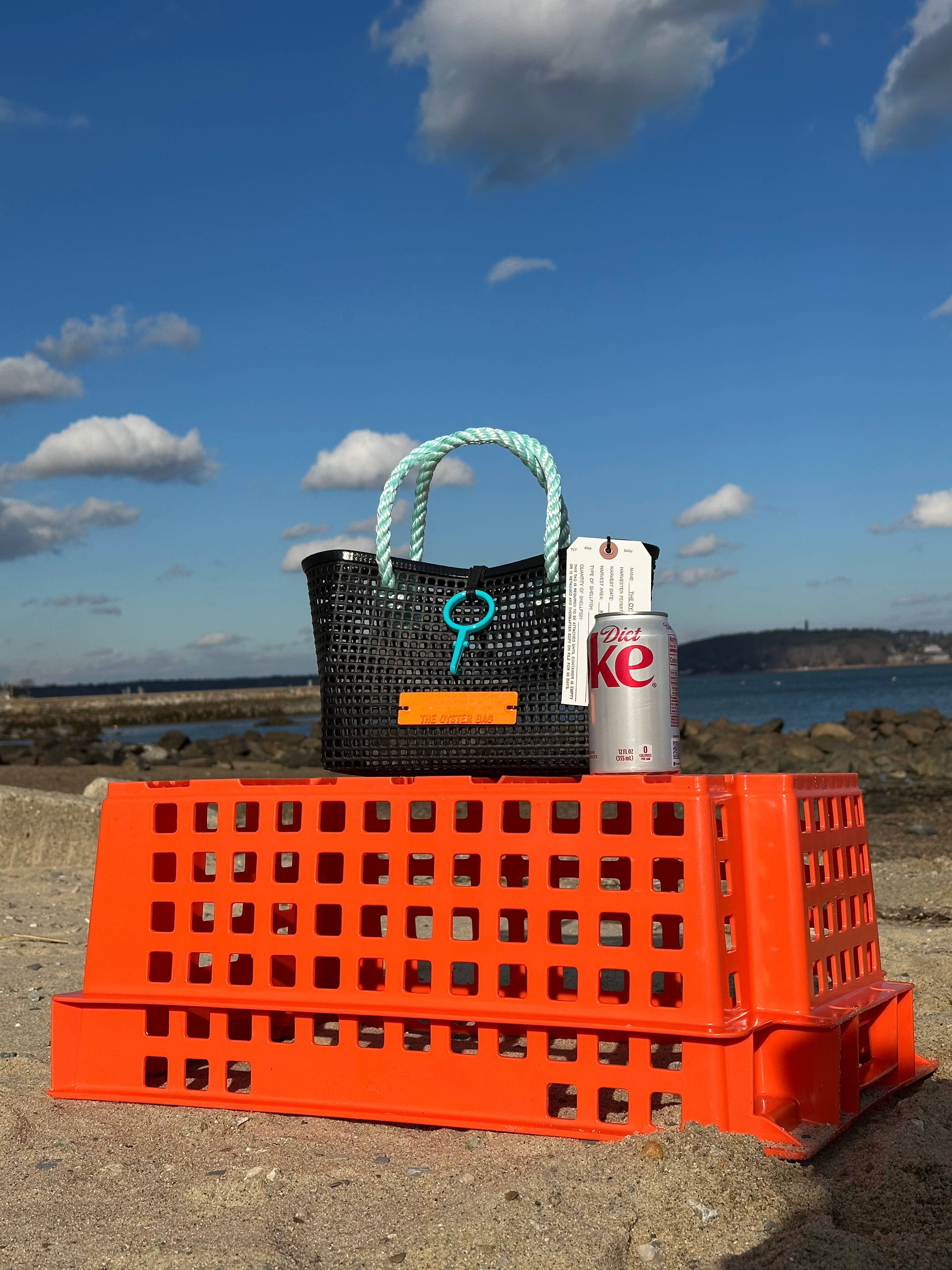 Mini Market ~ Aqua Handle