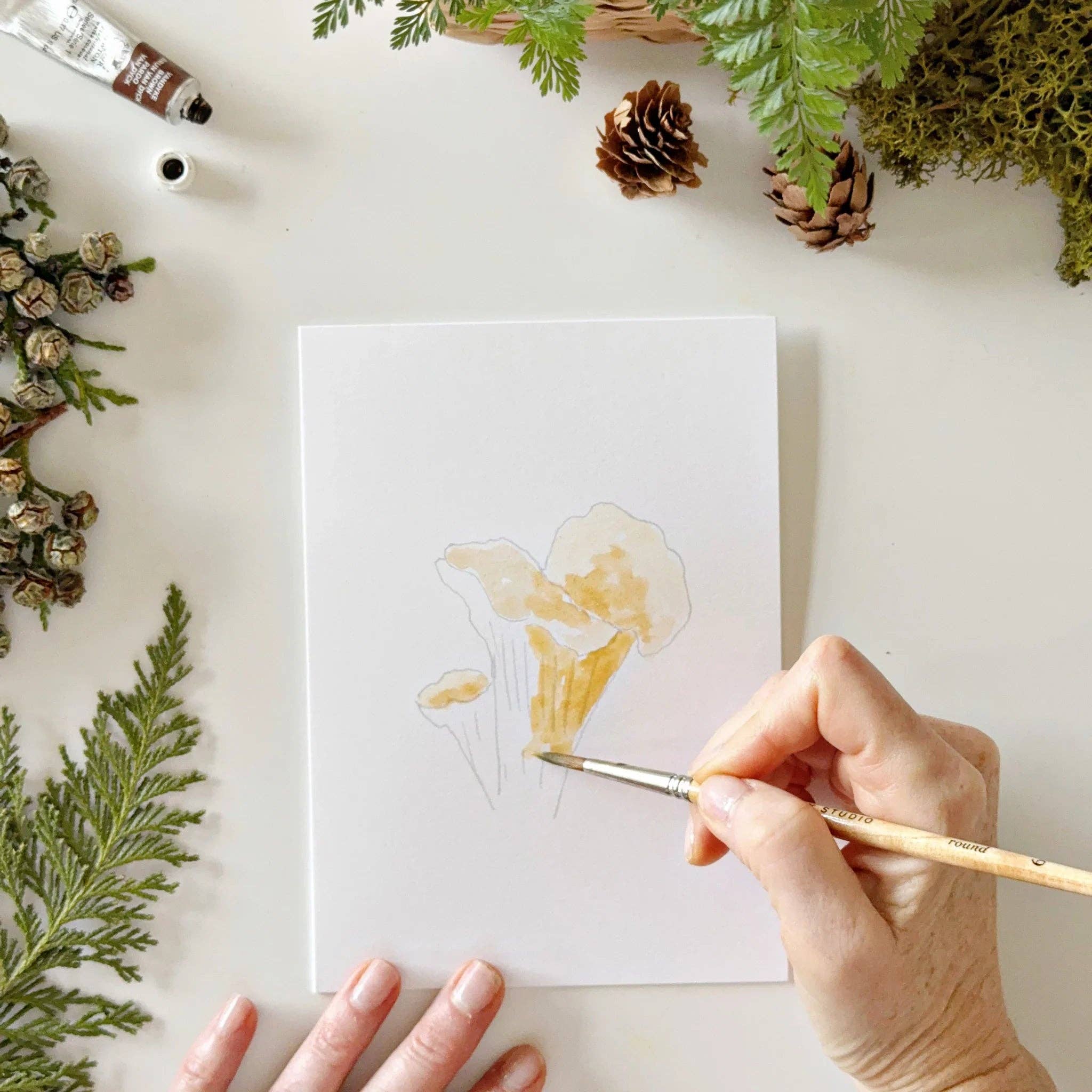Emily Lex Mushrooms Paintable Watercolor Notecard Set
