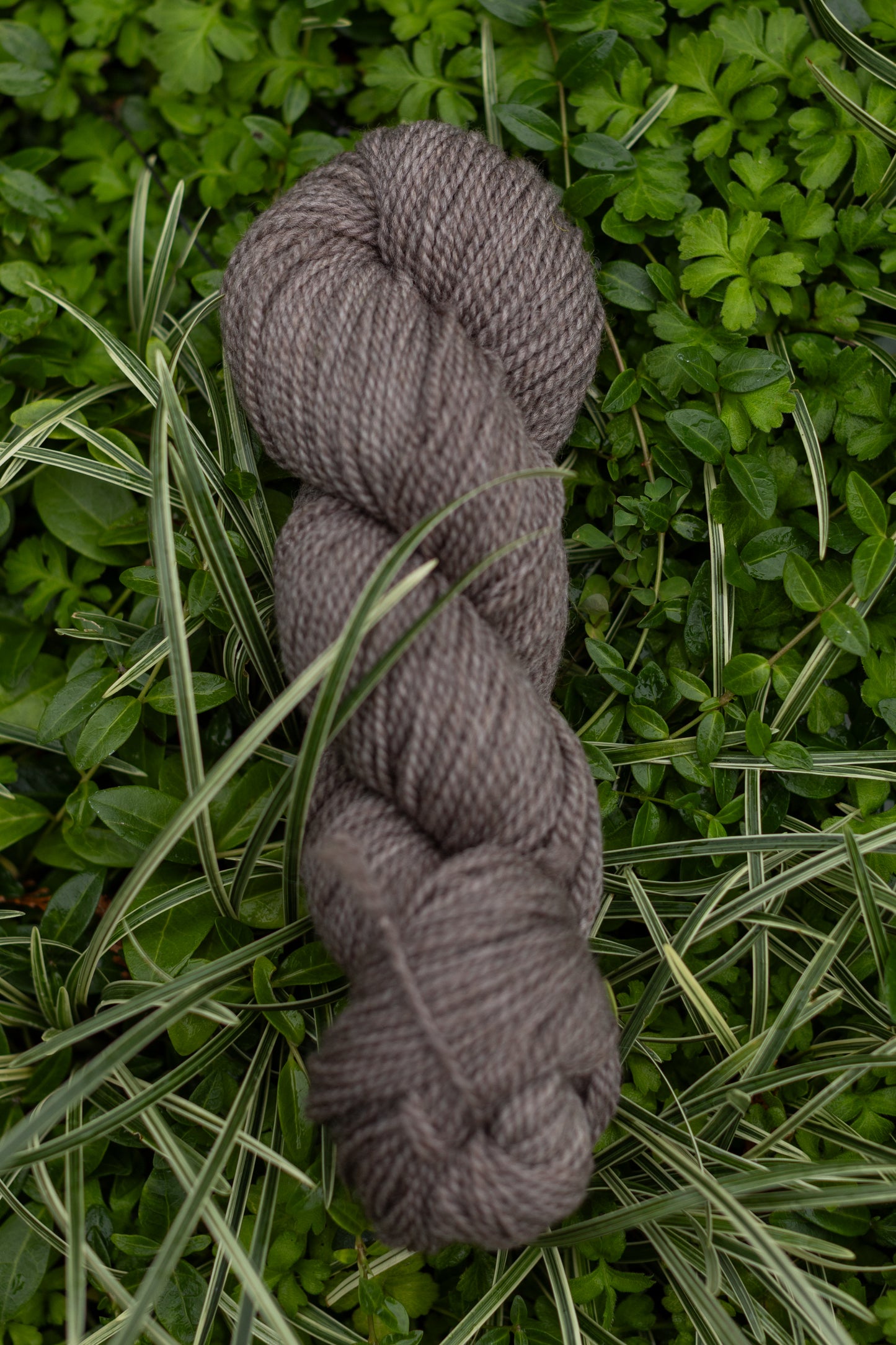10/10 Weekend Dyed-to-Order