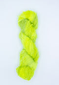 Birdie DK - lichen