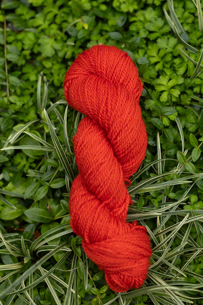10/10 Weekend Dyed-to-Order