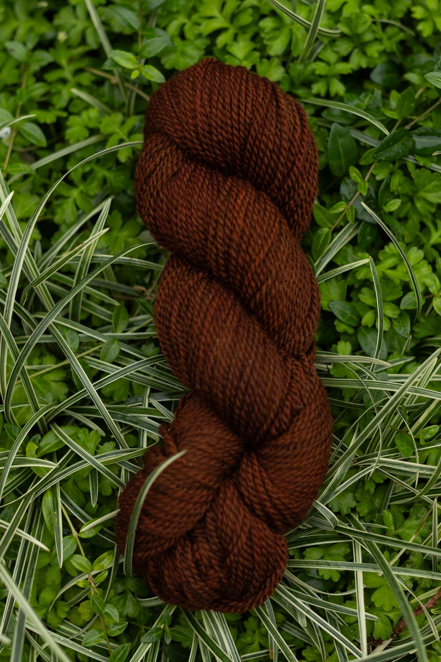 10/10 Weekend Dyed-to-Order
