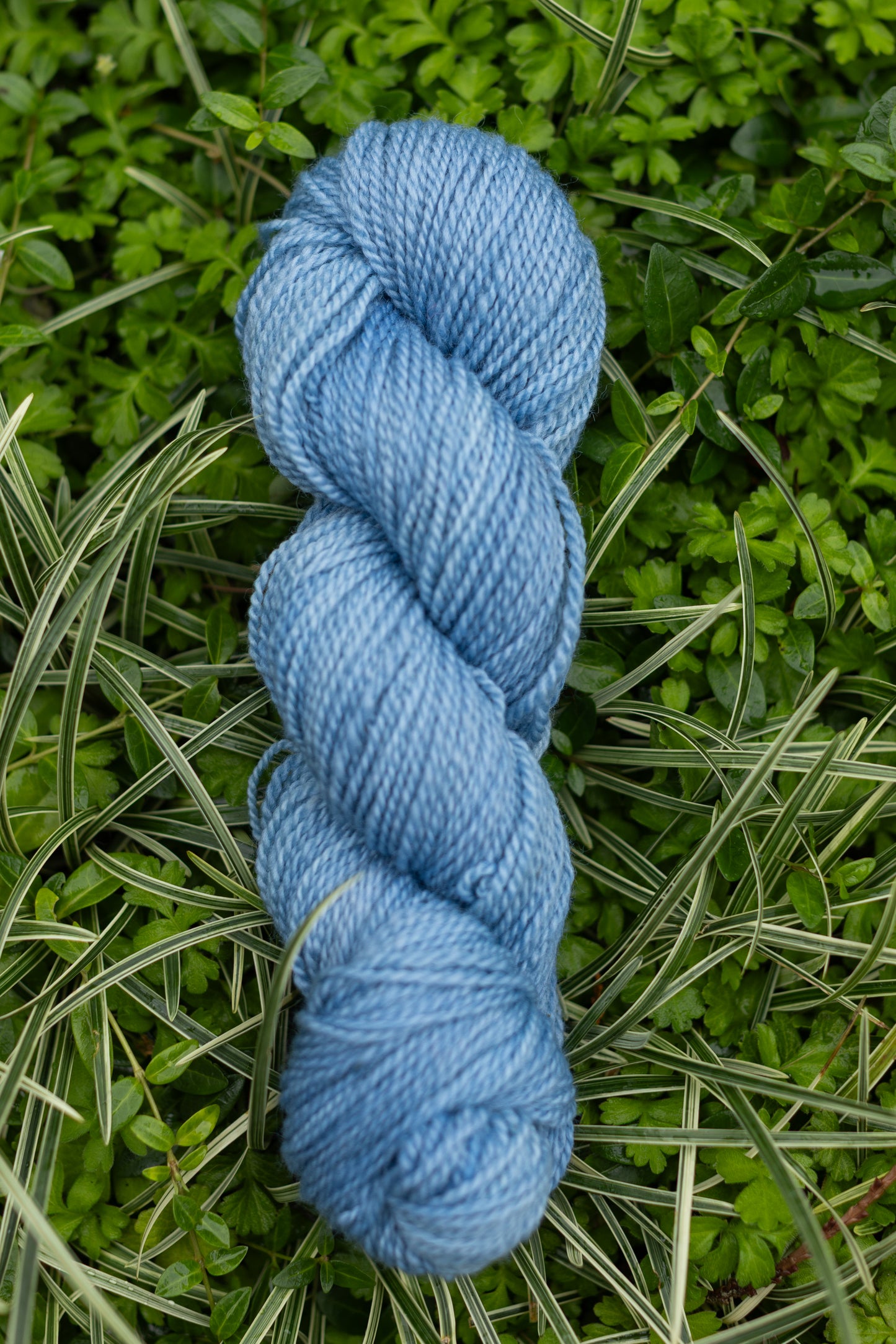 10/10 Weekend Dyed-to-Order