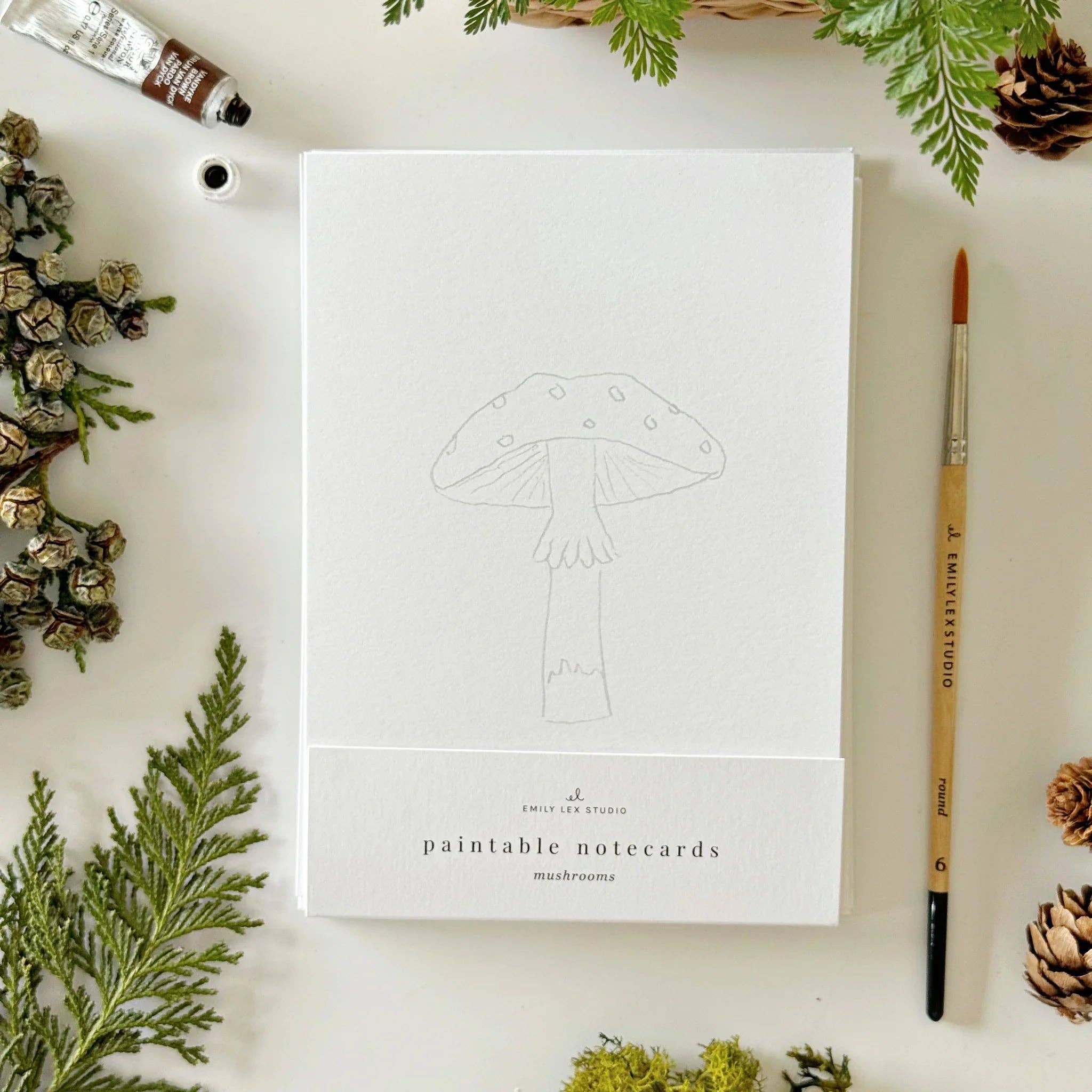 Emily Lex Mushrooms Paintable Watercolor Notecard Set