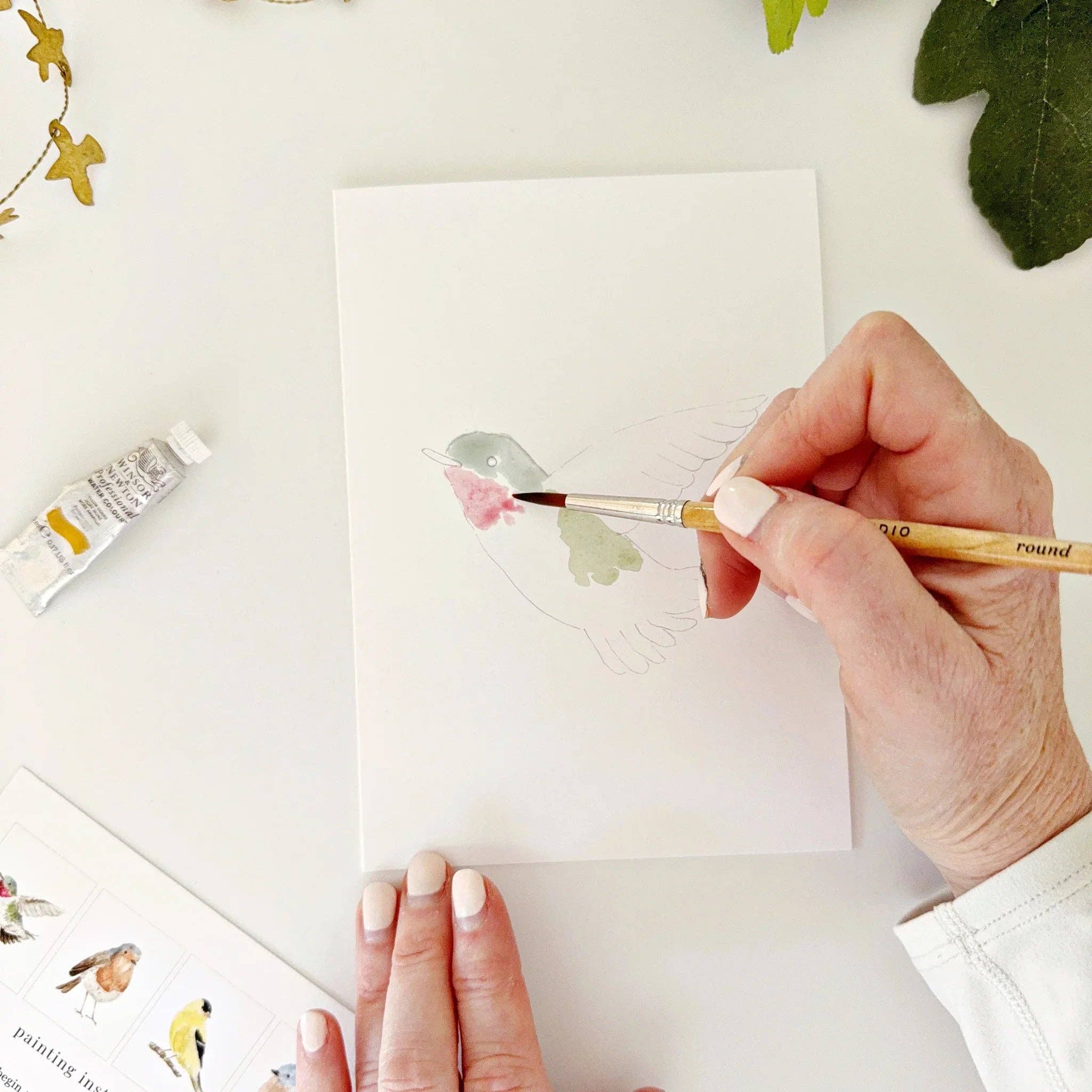 Emily Lex Birds Paintable Watercolor Notecard Set