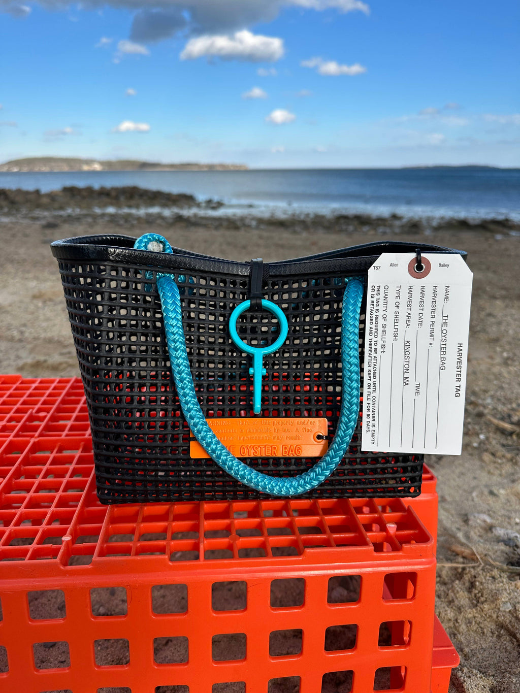 Mini Market ~ Aqua Handle