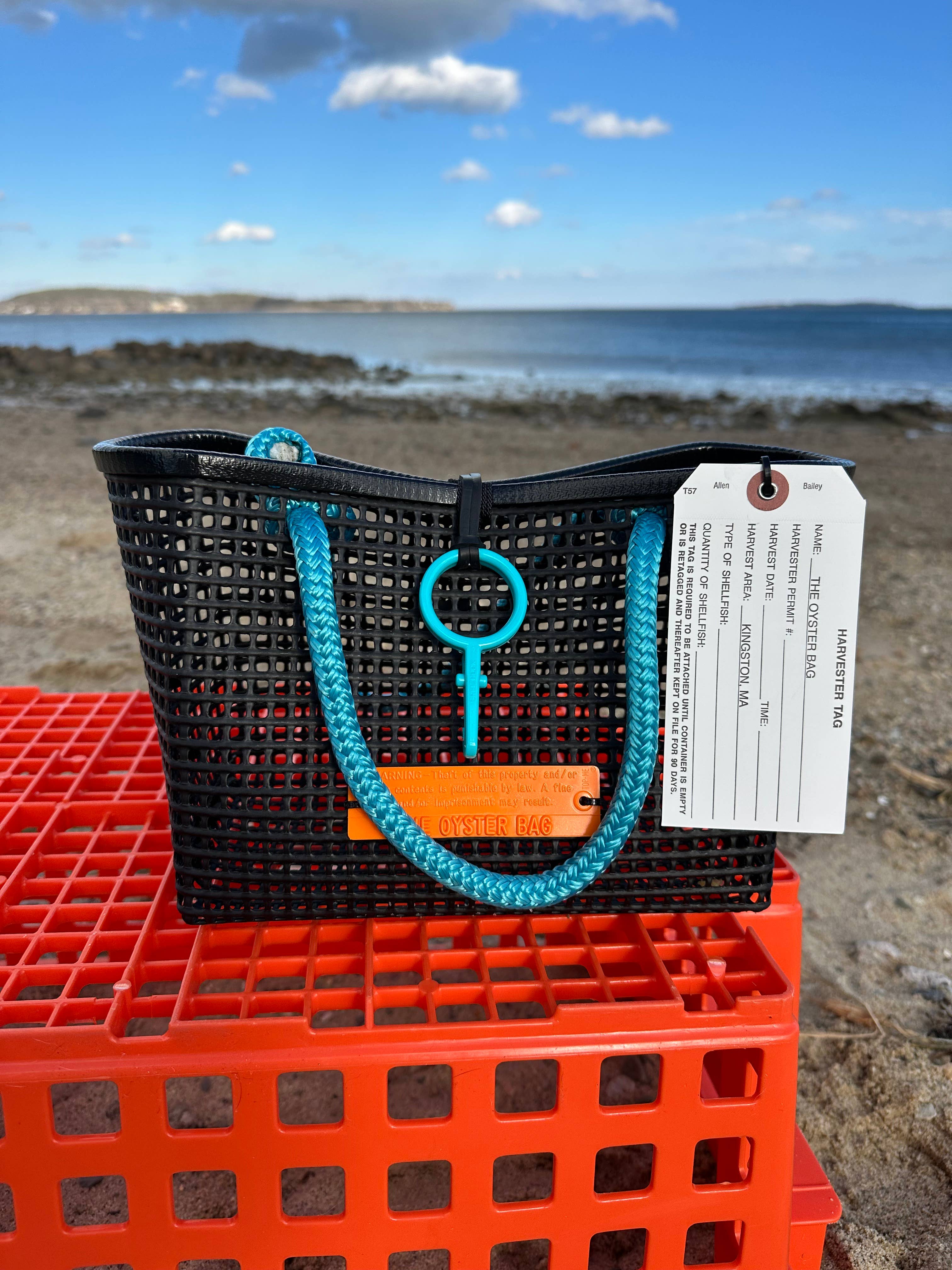 Mini Market ~ Aqua Handle