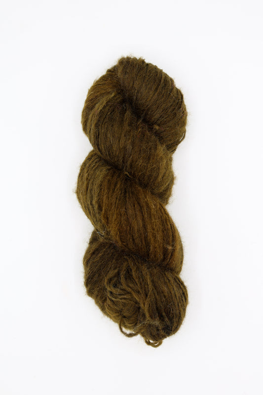 Downy Fingering - bark