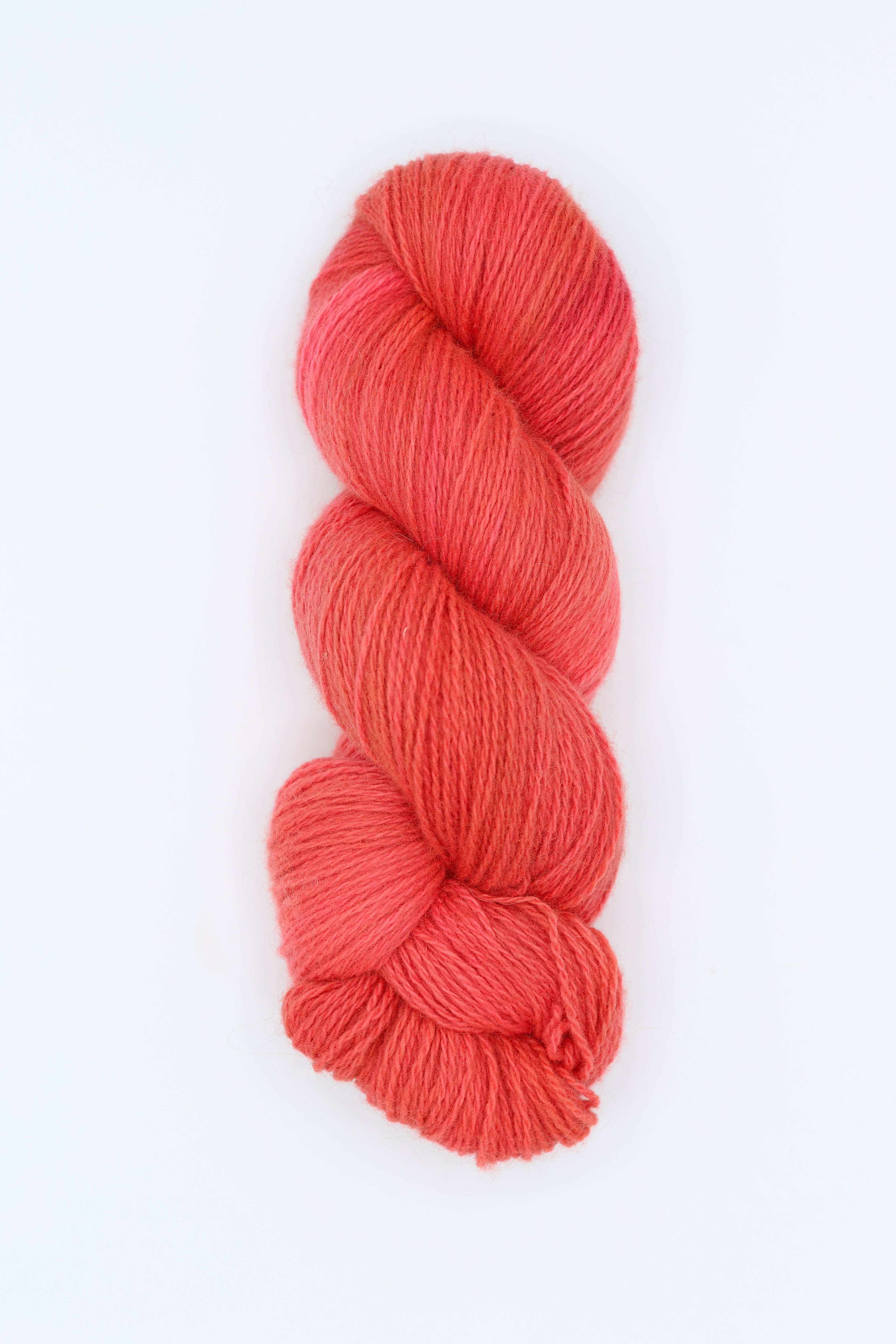 Elmer - radis 100g