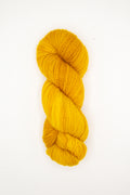 Elmer - sungold