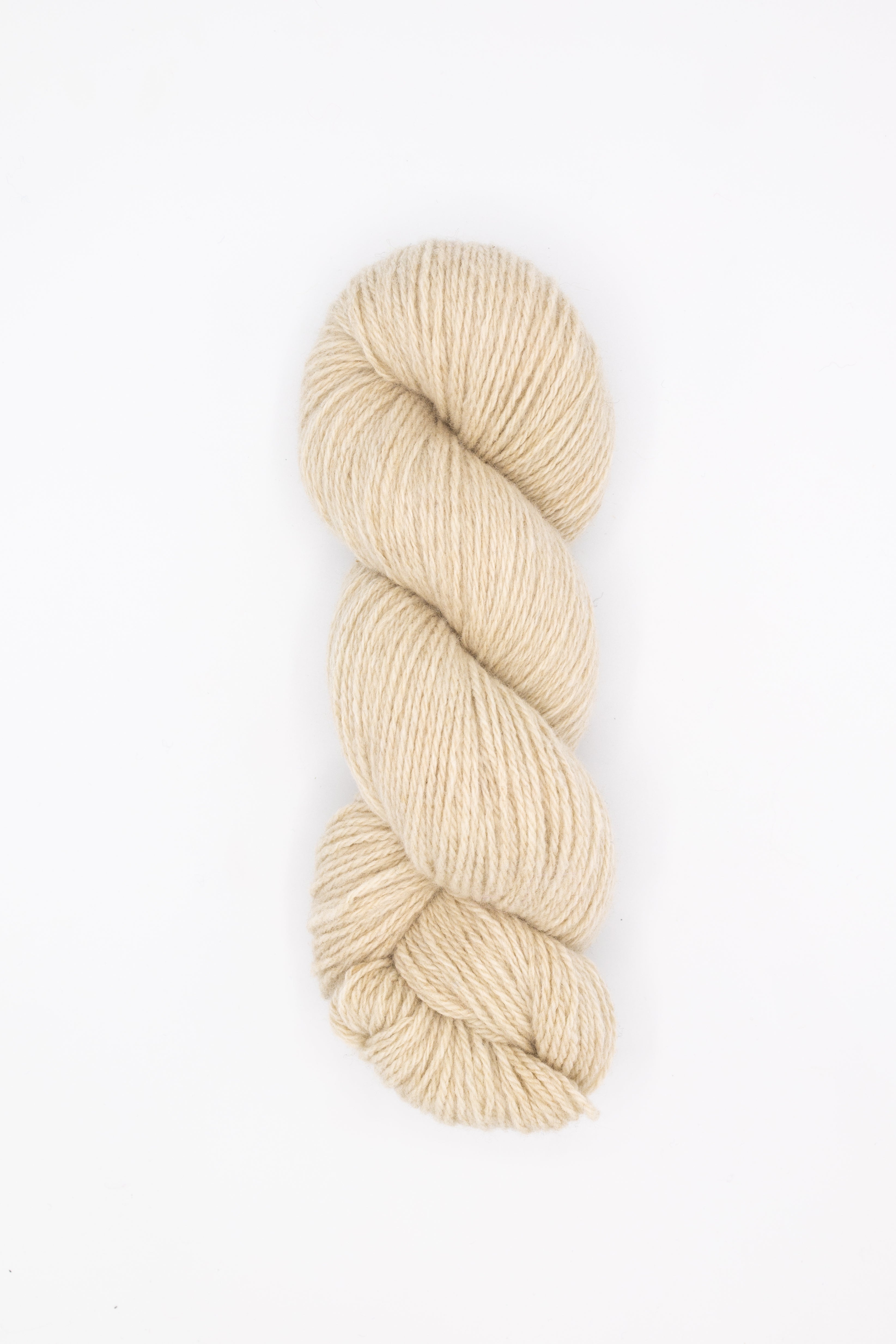 Elmer Worsted - cookie