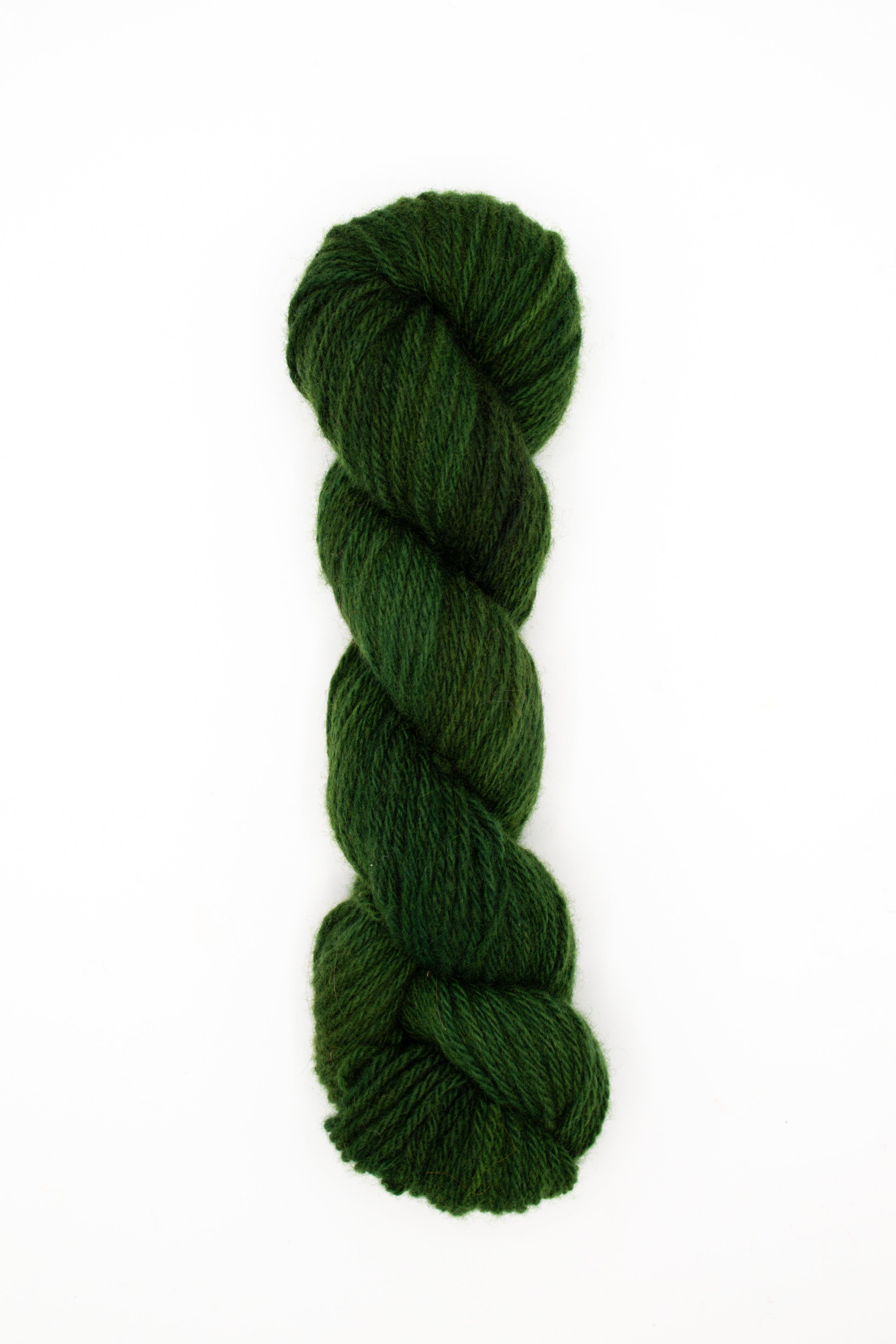 Elmer Worsted - see you later alligator