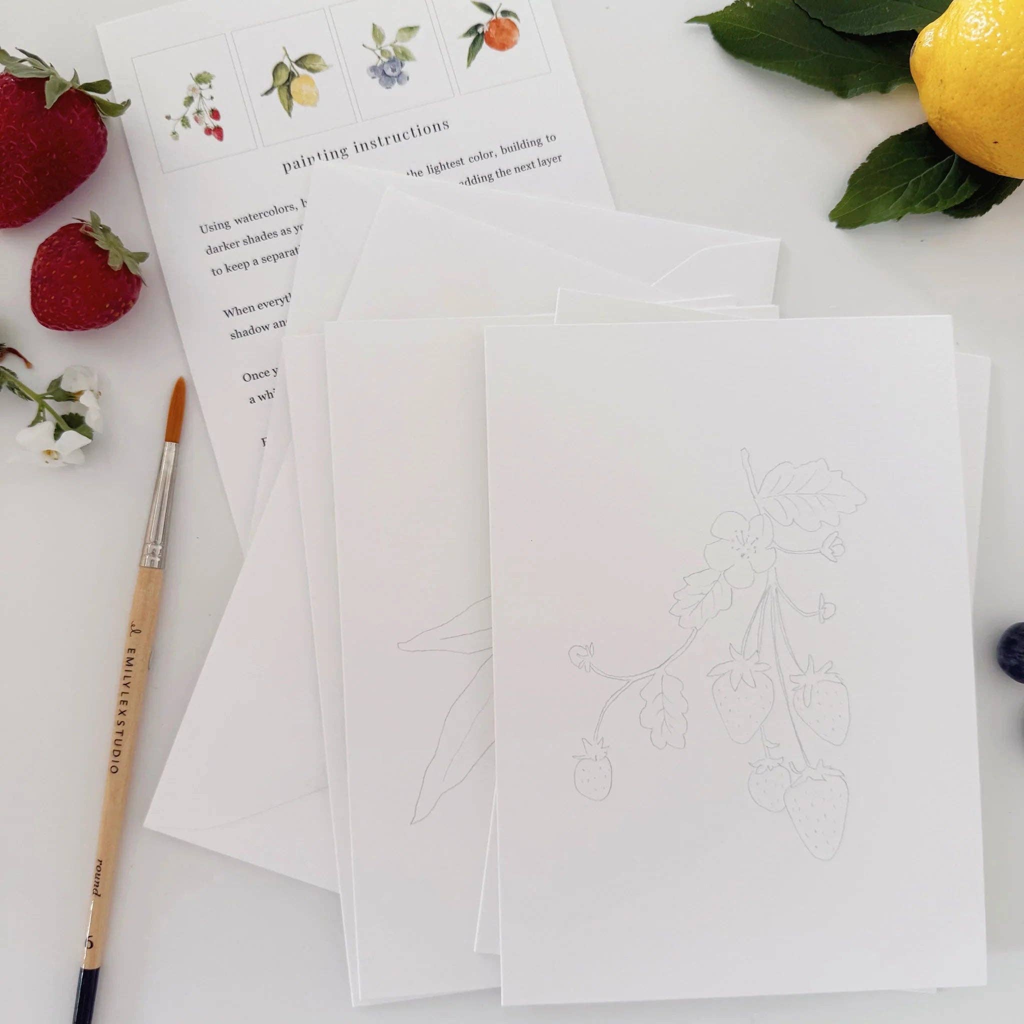 Emily Lex Fruit Paintable Watercolor Notecard Set