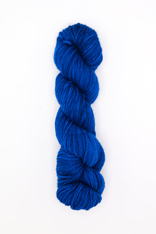 Fletcher Aran - cookie monster