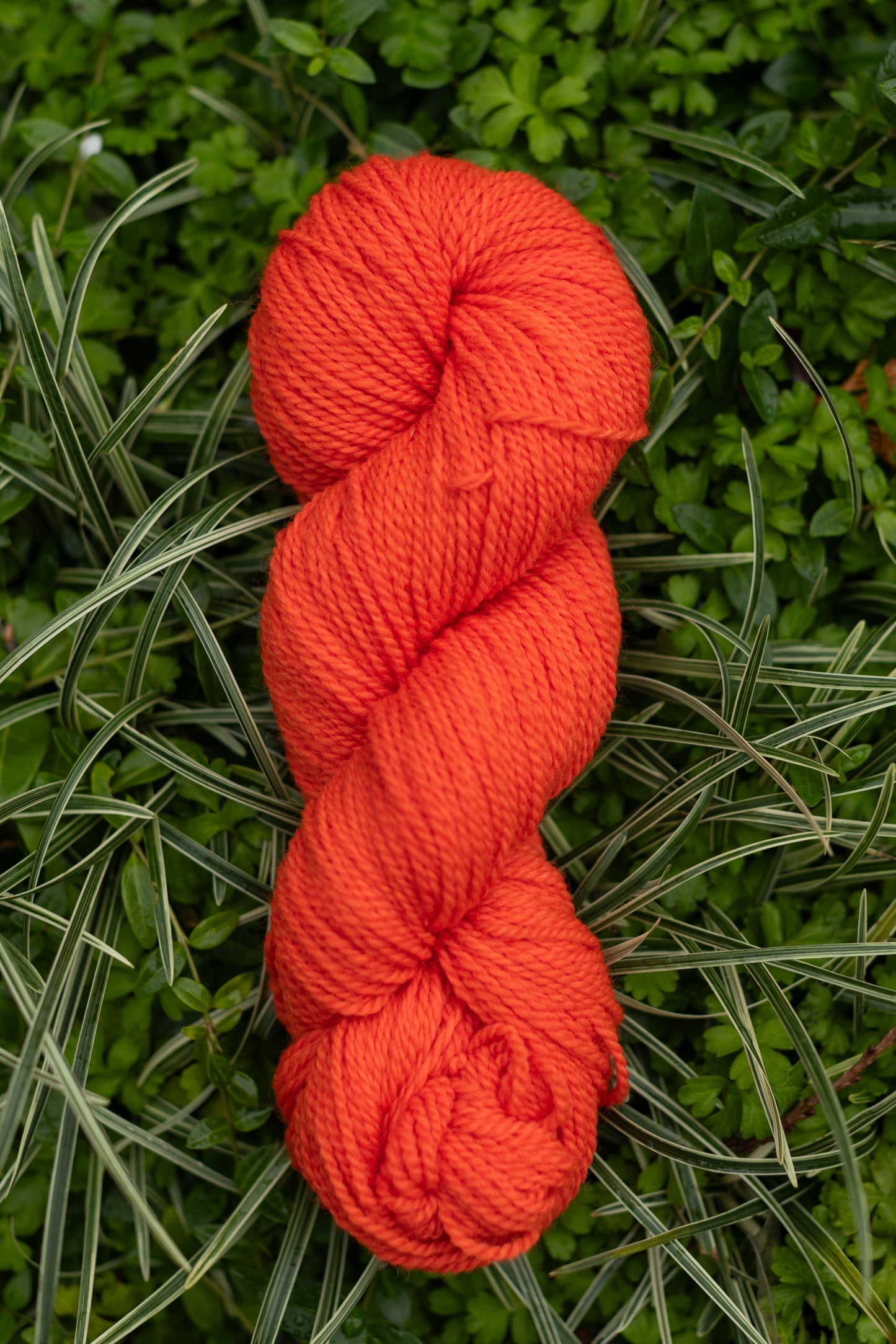 10/10 Weekend Dyed-to-Order