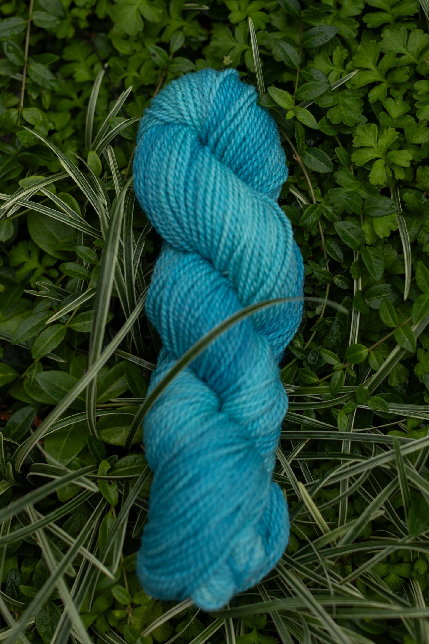10/10 Weekend Dyed-to-Order