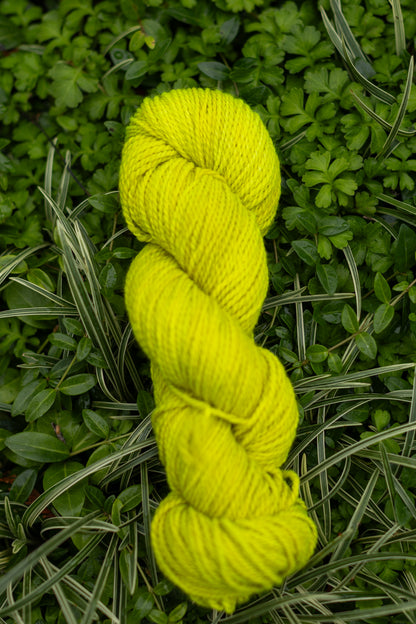10/10 Weekend Dyed-to-Order