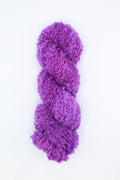 Teddy Boucle - mosquito diminuto