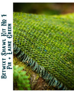 Load image into Gallery viewer, Betwixt Shawl Kits
