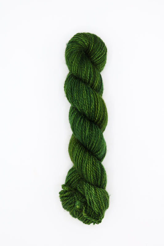 Pebbledash - evergreen