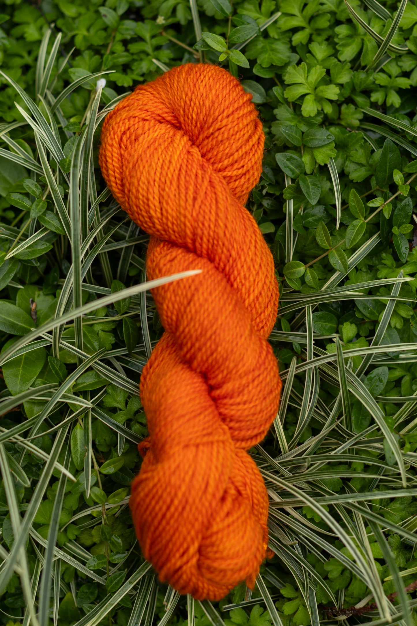 10/10 Weekend Dyed-to-Order