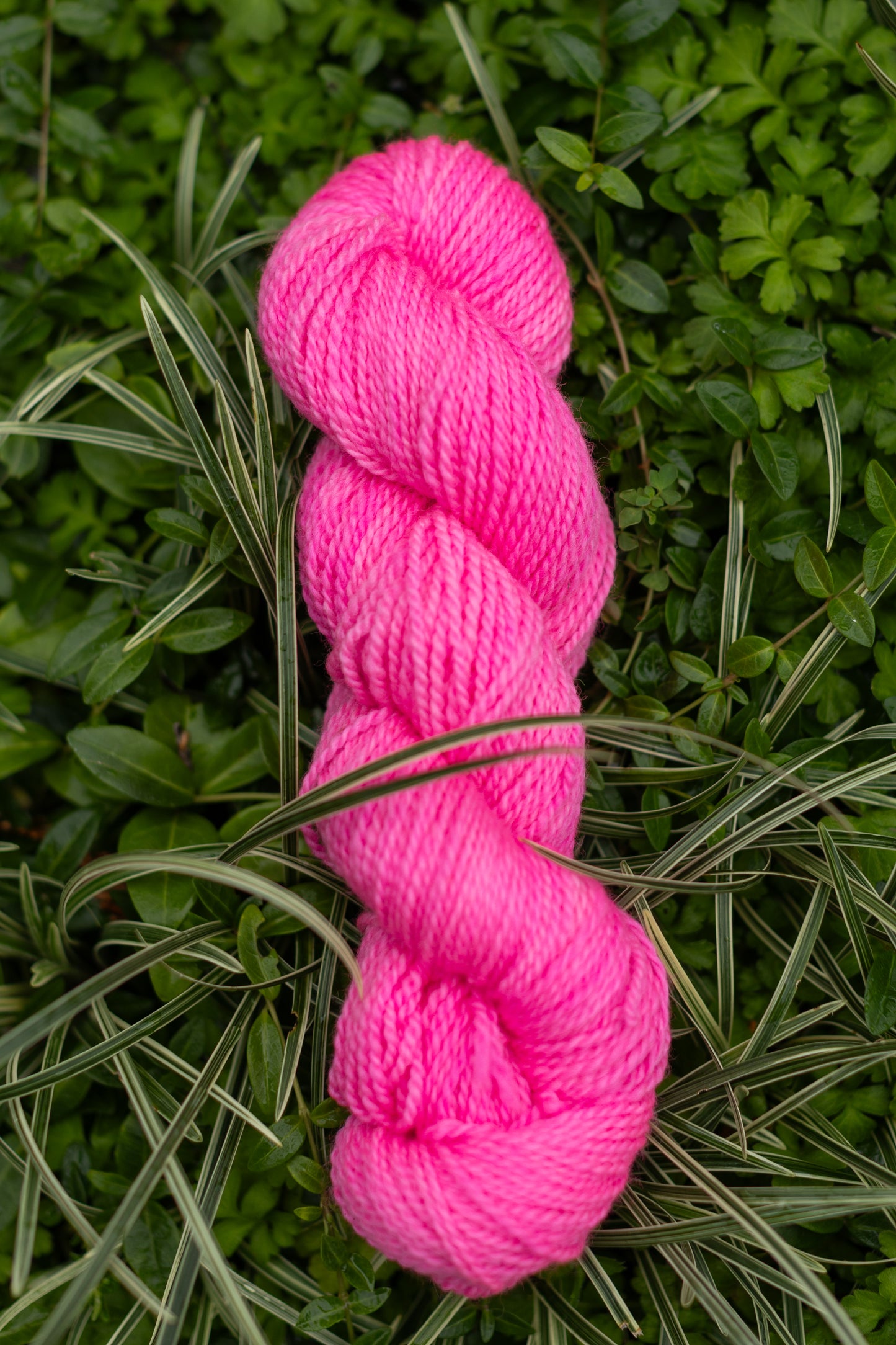 10/10 Weekend Dyed-to-Order