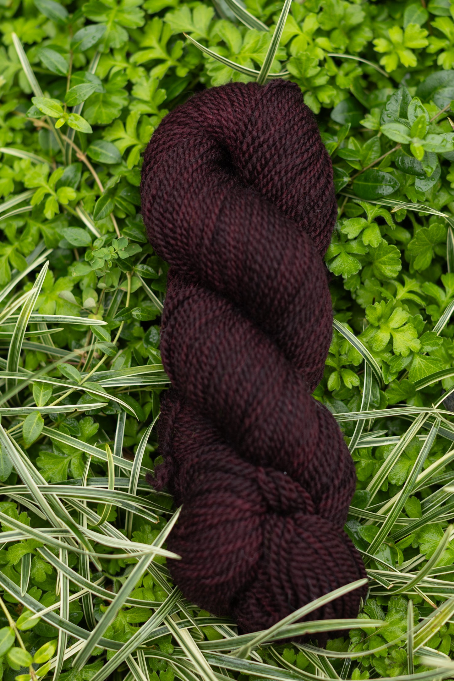 10/10 Weekend Dyed-to-Order