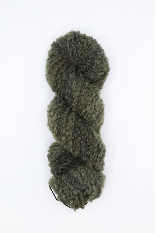 Teddy Boucle - sage wisdom