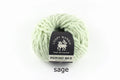 Loopy Mango No. 5 Merino