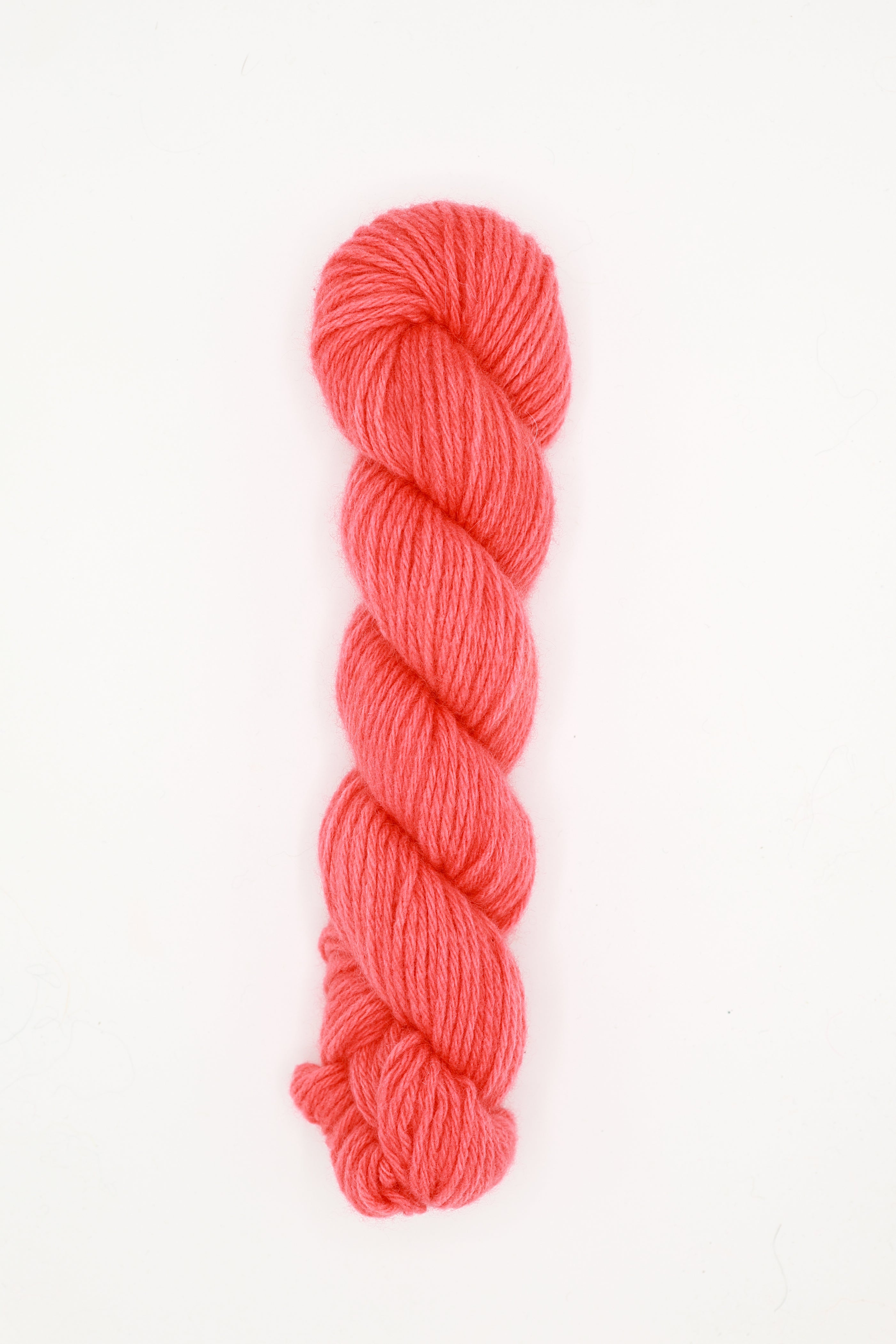 Tod Worsted - sophia