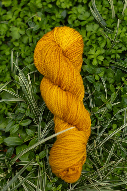 10/10 Weekend Dyed-to-Order