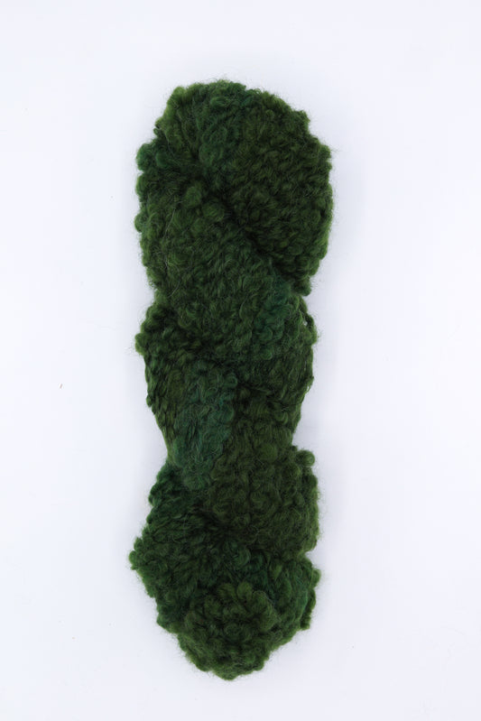 Teddy Boucle - see you later alligator