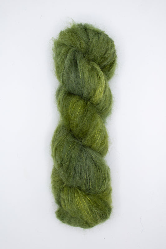 Birdie DK - tiny boxwoods