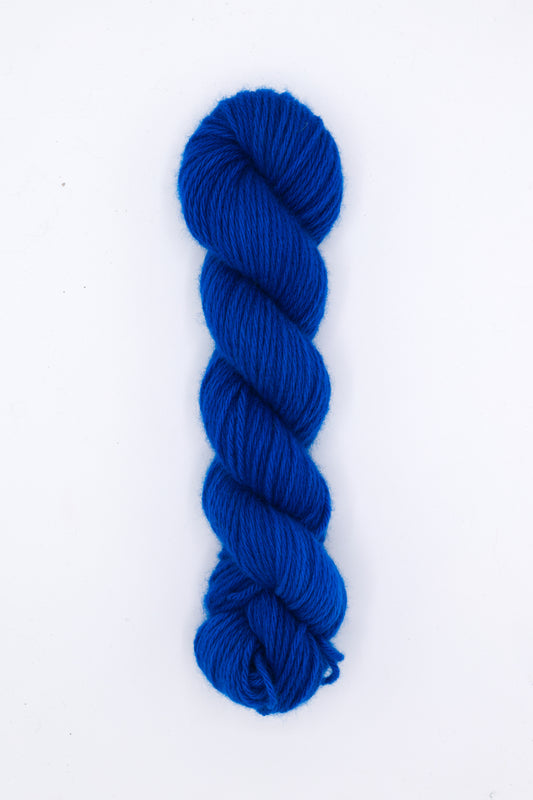 Tod Worsted - cookie monster