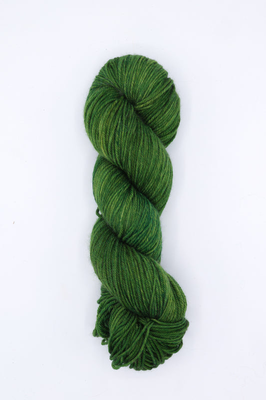 Trio DK - evergreen