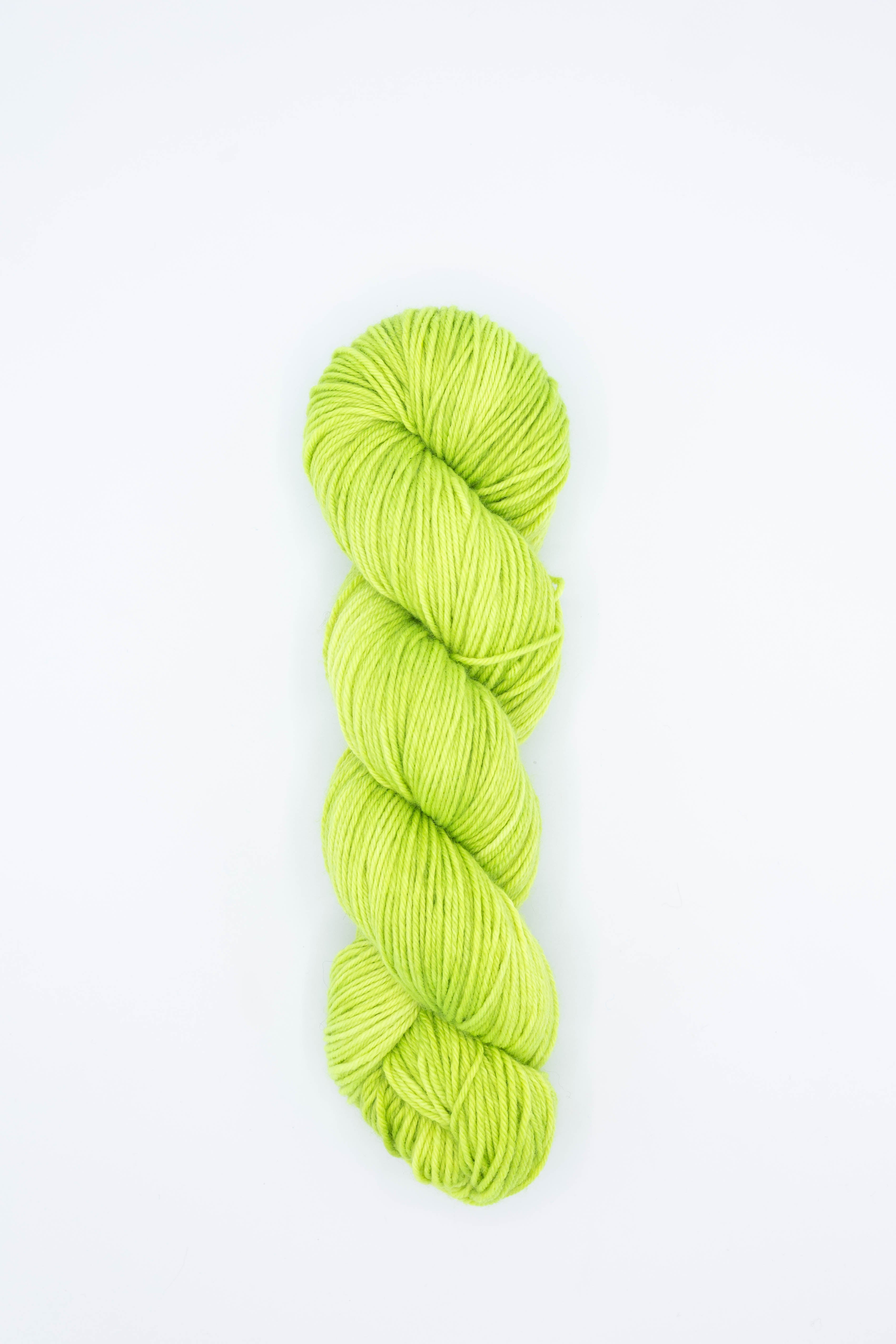 Trio DK - lichen