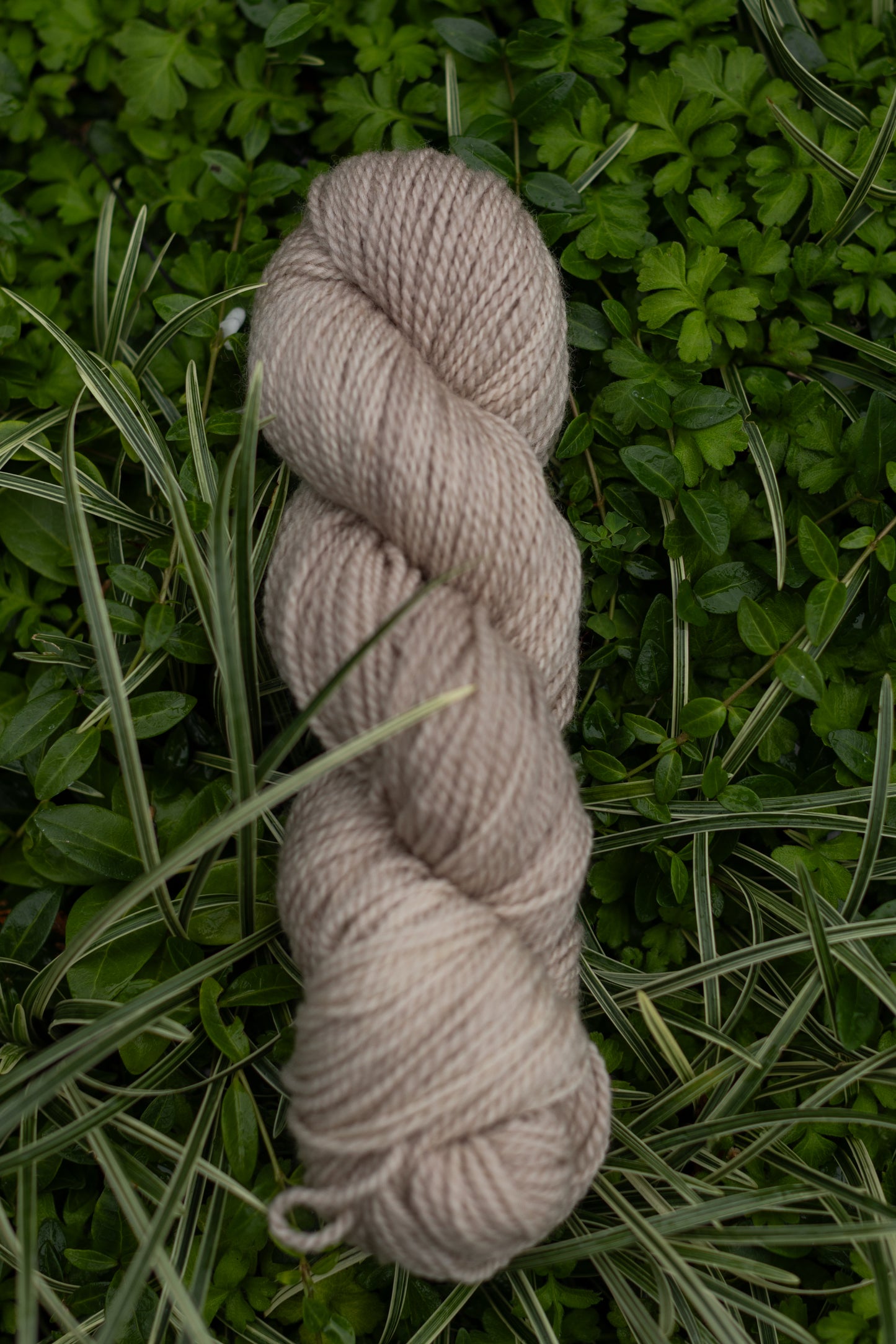 10/10 Weekend Dyed-to-Order
