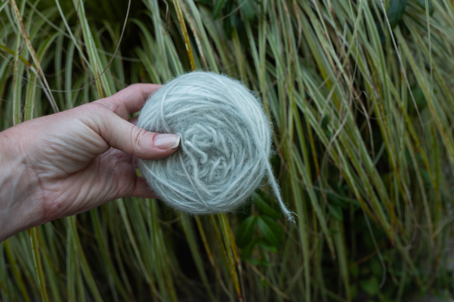 6/19 Weekend Dyed-to-Order