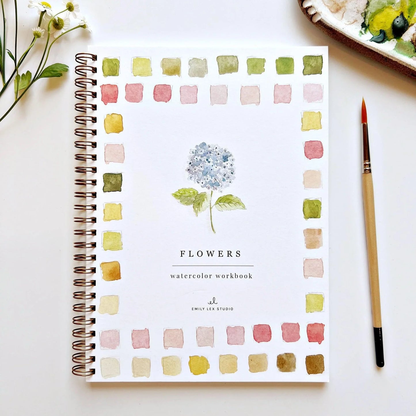 Emily Lex Watercolor Books