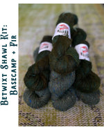 Load image into Gallery viewer, Betwixt Shawl Kits
