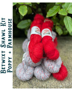 Load image into Gallery viewer, Betwixt Shawl Kits
